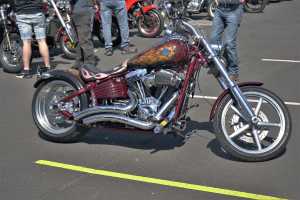 HARLEY (3)